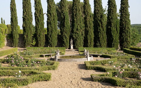 Terrazza e Libreria: Plant, Sky, Cloud, Vegetation, Tree, Grass, Natural Landscape, Hedge, Biome, Evergreen