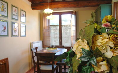 Accommodation:&nbsp;Collodi