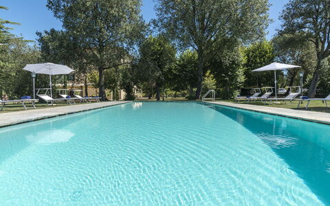 Villa Ivana - Cortona: Swimming Pool, Property, Real Estate, Leisure, House, Building, Estate, Resort, Home, Tree