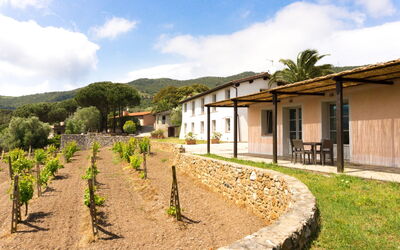 Accommodation:&nbsp;Monolocale (2+1pax)