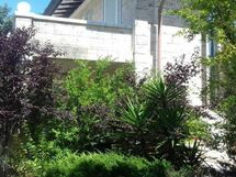 Holiday Rental Villa Tuscany Sea