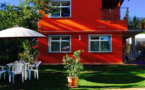 Borgo Di Zacco: House, Home, Property, Residential Area, Building, Real Estate, Roof, Architecture, Tree, Facade
