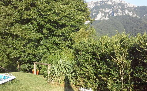 Emilia: Plant, Mountain, Natural Landscape, Tree, Vegetation, Biome, Evergreen, Grass, Woody Plant, Groundcover