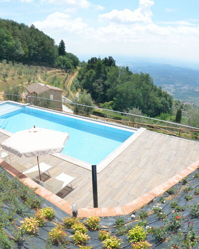 Villa Orchidea: Swimming Pool, Property, Villa, House, Real Estate, Building, Estate, Vacation, Apartment, Leisure