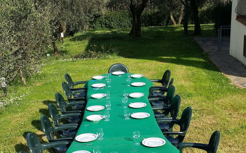 Villa Vaniglia Proprietà: Green, Grass, Property, Lawn, Table, Tree, Leisure, Garden, Chair, Plant