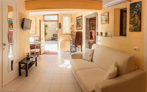 Colori House