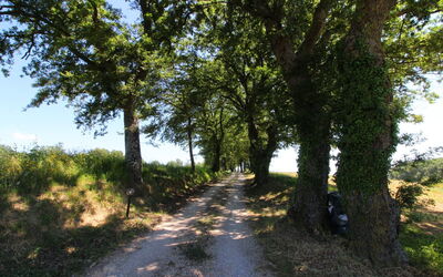 Podere Palazzone