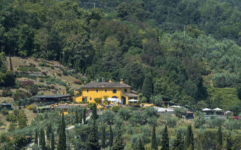 Villa Solaria: Hill Station, Vegetation, Mountain Village, Tree, Hill, Rural Area, Village, House, Forest, Mountain