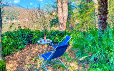 Olivi Del Mesco - Levanto