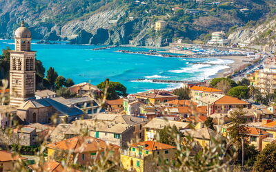 Olivi Del Mesco - Levanto