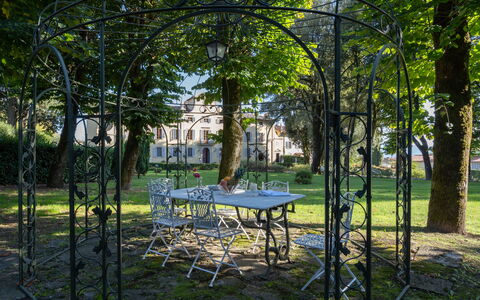 Il Marchese Di Ronta: Tree, Natural Landscape, Table, Furniture, Botany, Grass, Pavilion, Woodland, Grove, Estate