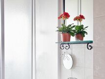 Accommodation:&nbsp;Francesca