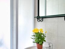 Accommodation:&nbsp;Luigi