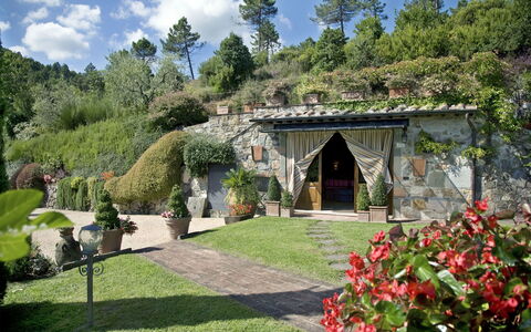 Al Mennucci: Garden, Property, Natural Landscape, Botanical Garden, Building, Yard, House, Estate, Landscaping, Botany