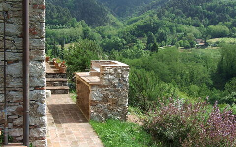 Bottino: Wall, Natural Landscape, Stone Wall, Landscape, Tree, Rock, Rural Area, Grass, Plant Community, Plant