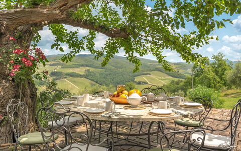 Camporempoli: Furniture, Table, Chair, Outdoor Furniture, Kitchen & Dining Room Table, Outdoor Table, Tablecloth, Restaurant, Garden