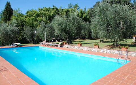 Casa Tonio: Swimming Pool, Property, Leisure, Real Estate, Vacation, Grass, Tree, Building, House, Leisure Centre
