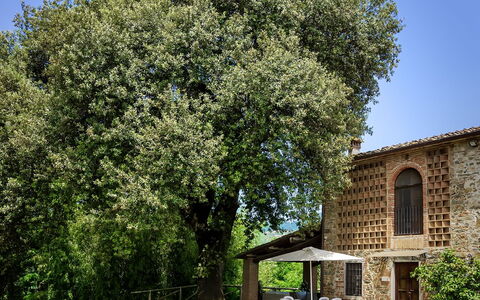 Casa Tonio: Tree, Property, Woody Plant, Plant, House, Spring, Architecture, Grass, Shrub, Building