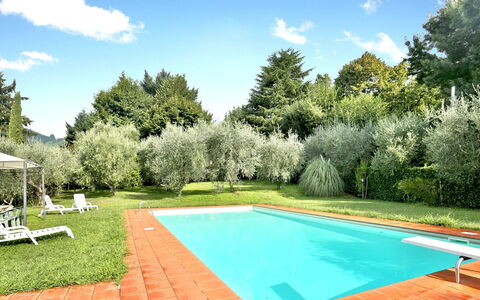 Franello
