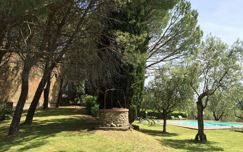 Malmantile: Tree, Nature, Natural Landscape, Grass, Natural Environment, Daytime, Woody Plant, Sky, Plant, Spring