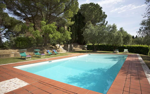 Malmantile: Swimming Pool, Property, Leisure, Grass, Real Estate, House, Backyard, Home, Rectangle, Tree