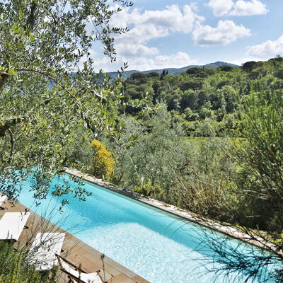 Ricavoli: Swimming Pool, Water, Natural Landscape, Property, Nature Reserve, Tree, Wilderness, Water Resources, Vacation, Lake