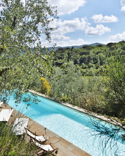Ricavoli: Swimming Pool, Water, Natural Landscape, Property, Nature Reserve, Tree, Wilderness, Water Resources, Vacation, Lake