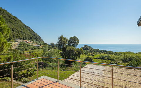 Villa Monilia