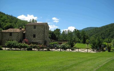 Il Mulino: Il Mulino