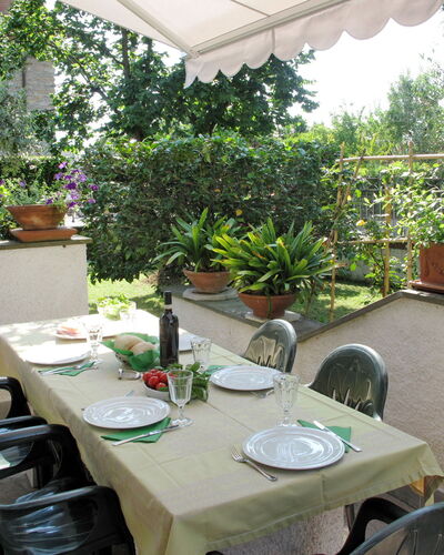 Mia: Property, Real Estate, Houseplant, House, Room, Building, Botany, Table, Tree, Home