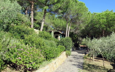 Accommodation:&nbsp;Piccola Oasi 9 674.7