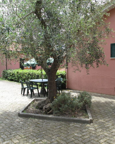 Elbamar Lacona 1 615.4