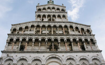Agrifoglio