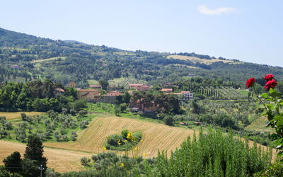 Accommodation:&nbsp;Macchia Al Pino 606.6
