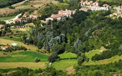 Della Nave Estate