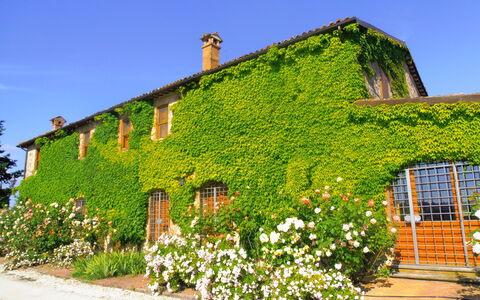 Villa Venanzo: Property, House, Green, Vegetation, Wall, Building, Cottage, Shrub, Plant, Rural Area