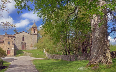 Casa Di Lilli: Grass, Landscape, Grassland, Rural Area, Meadow, Pasture, Castle, Monastery