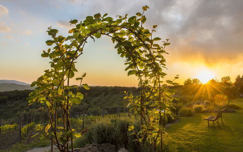 Sequerciani: Nature, Tree, Sky, Natural Landscape, Morning, Biome, Plant, Sunlight, Landscape, Arch