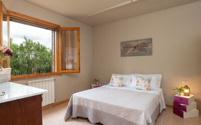 Accommodation:&nbsp;Tulipano