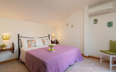 Accommodation:&nbsp;Calendula