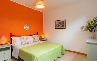 Accommodation:&nbsp;Begonia