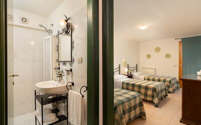 Accommodation:&nbsp;Begonia