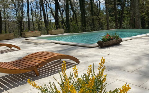 Villa La Casa Bianca: Flower, Plant, Sky, Leaf, Natural Landscape, Vegetation, Tree, Yellow, Grass, Woody Plant