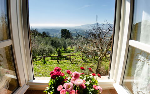 La Casa Del Sole: Property, Room, Window, House, Home, Flower, Building, Plant, Interior Design, Real Estate