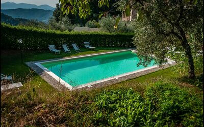 Orto Degli Olivi Proprietà: Swimming Pool, Property, Natural Landscape, Grass, Water, Leisure, House, Tree, Villa, Architecture
