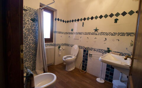 Accommodation:&nbsp;Il Fiasco