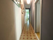 Accommodation:&nbsp;Geco 1