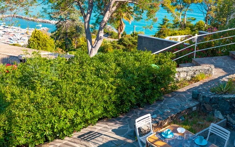 Il Giardino Sul Mare - Levanto: Tree, Property, Garden, Real Estate, Shrub, Plant, Botany, Woody Plant, Landscape, Yard