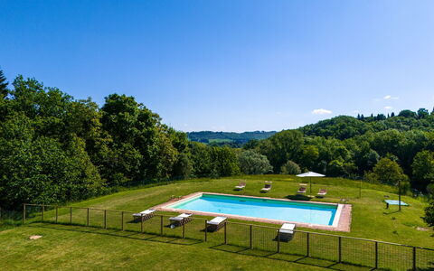 Podere a Lafi: Water, Sky, Property, Swimming Pool, Plant, Natural Landscape, Tree, Chair, Shade, Land Lot