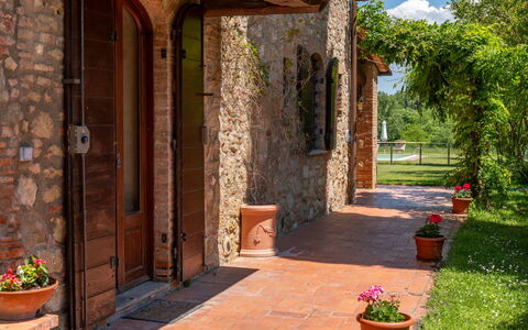 Podere a Lafi: Plant, Flowerpot, Building, Houseplant, Flower, Tree, Door, Brick, Brickwork, Neighbourhood